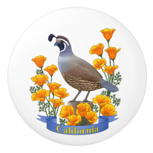 California Staat Bird Quail & Golden Poppy Keramikknauf