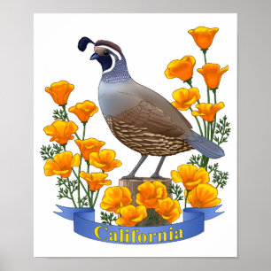 California Staat Bird Quail & Golden Poppy Poster