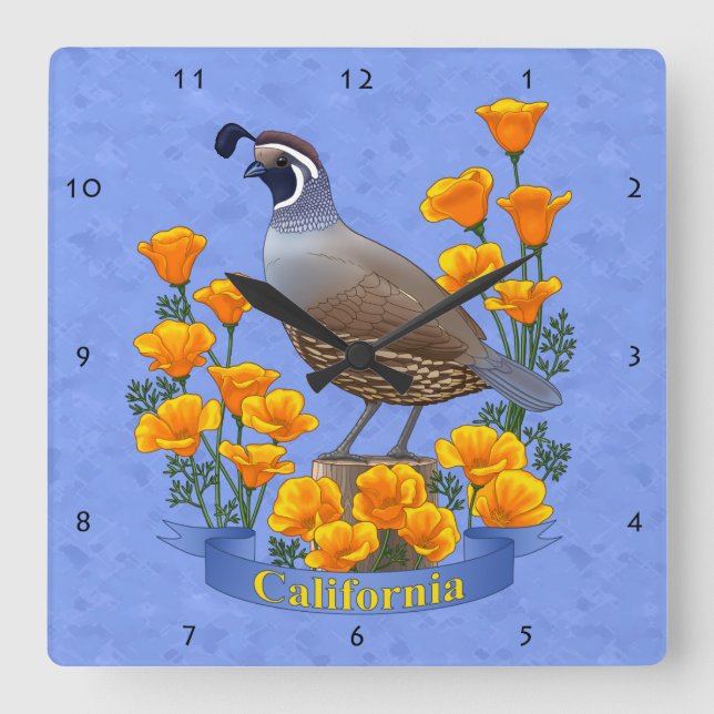 California Staat Bird Quail & Golden Poppy Quadratische Wanduhr (Vorderseite)