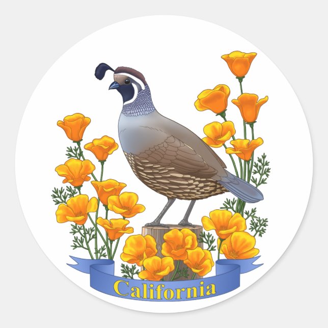 California Staat Bird Quail & Golden Poppy Runder Aufkleber (Vorderseite)