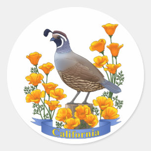 California Staat Bird Quail & Golden Poppy Runder Aufkleber