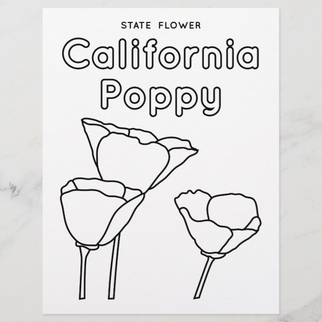 California Staat Blume Mohn Flyer (Vorne)