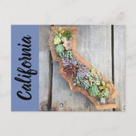 California Sukkuline Postkarte