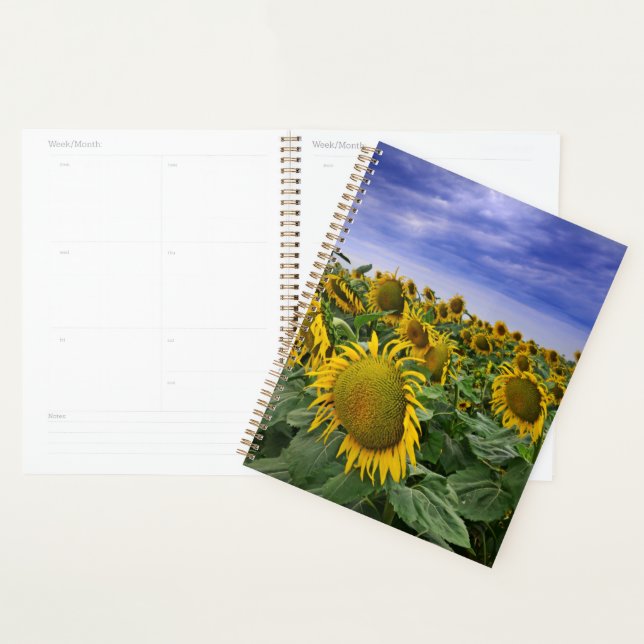 California Sunflower Fields Planer (Anzeige)