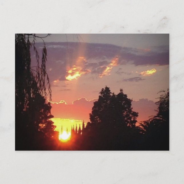 California Sunset Postcard Postkarte (Vorderseite)