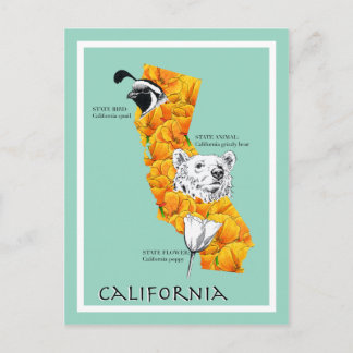 California Symbols Postkarte