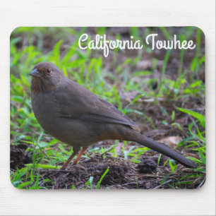 California Towhee Mousepad