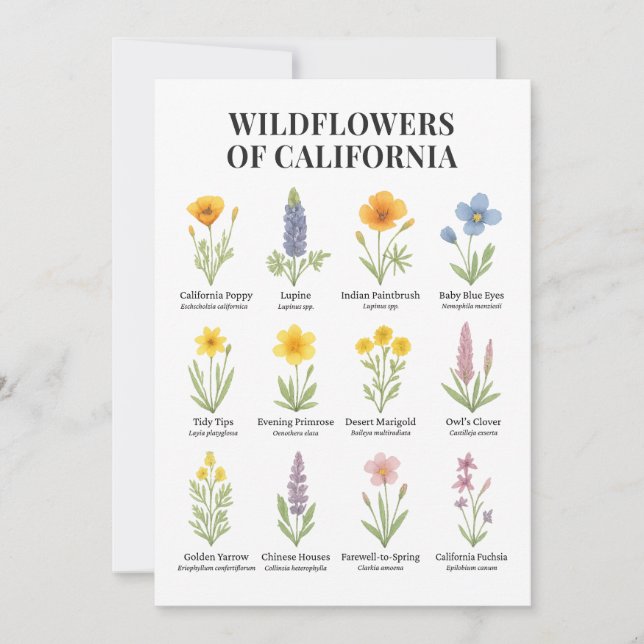 California Wildblumen - Botanische Aquarellfärbung Einladung (Vorderseite)