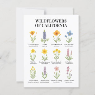 California Wildblumen - Botanische Aquarellfärbung Postkarte