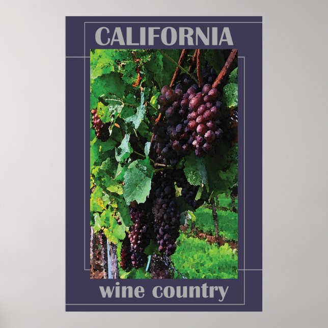 California Wine Country Poster (Vorne)