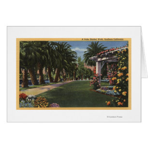 CaliforniaA Palme schattierter Weg