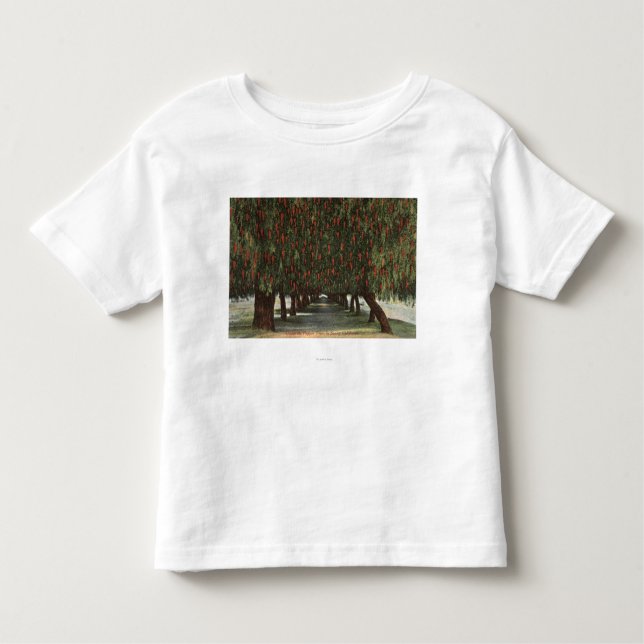 CaliforniaGroves der Pfeffer-Bäume Kleinkind T-shirt (Vorderseite)