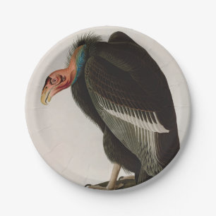 Californian Vulture Birds of America Audubon Print Pappteller
