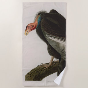 Californian Vulture Birds of America Audubon Print Strandtuch