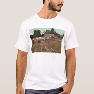 CaliforniaView der Pfirsiche, die im Sun trocknen T-Shirt