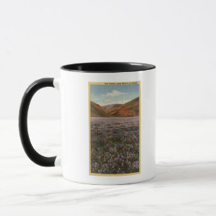 CaliforniaWild Lupine-Blumen in der Blüte Tasse