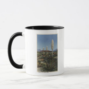 CaliforniaYucca Kakteen in der Blüte in der Wüst Tasse