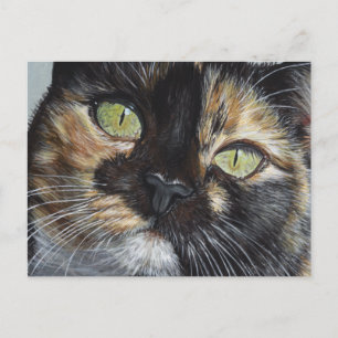 Cali's Stare Tortie Tortoiseshell Cat Malerei Art Postkarte