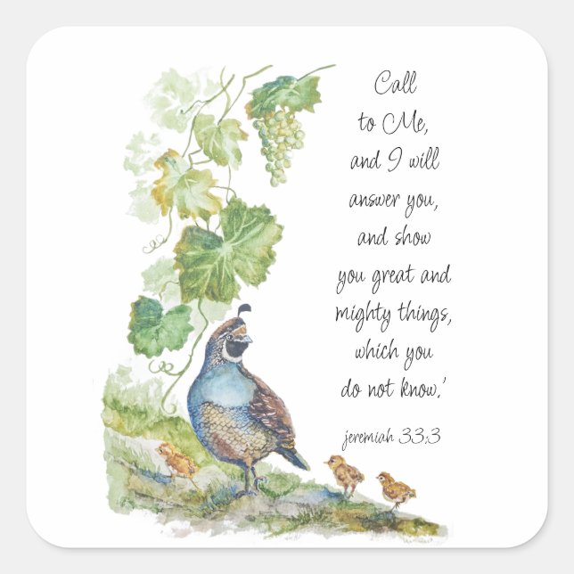 Call to Me Scripture Inspiration California Quail  Quadratischer Aufkleber (Vorderseite)
