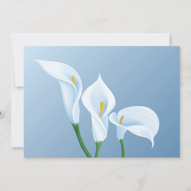 Calla-Blume (Vorderseite)