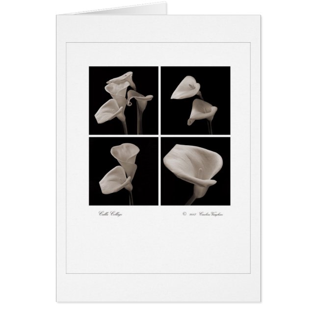 Calla_collage_2007_Brochure (Vorne)