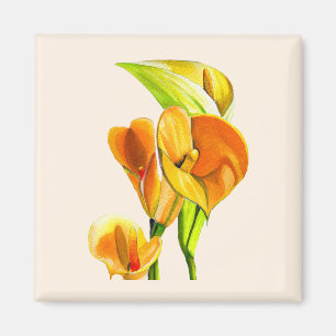 Calla liblütig Aquarellblüte Magnet