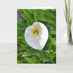 Calla Lido White Flower Garden Kunst-Karte Karte