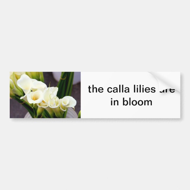 calla lies Autoaufkleber (Vorne)