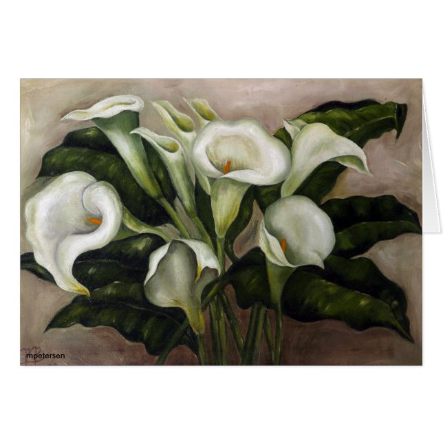Calla-Lilie (Vorderseite (Horizontal))
