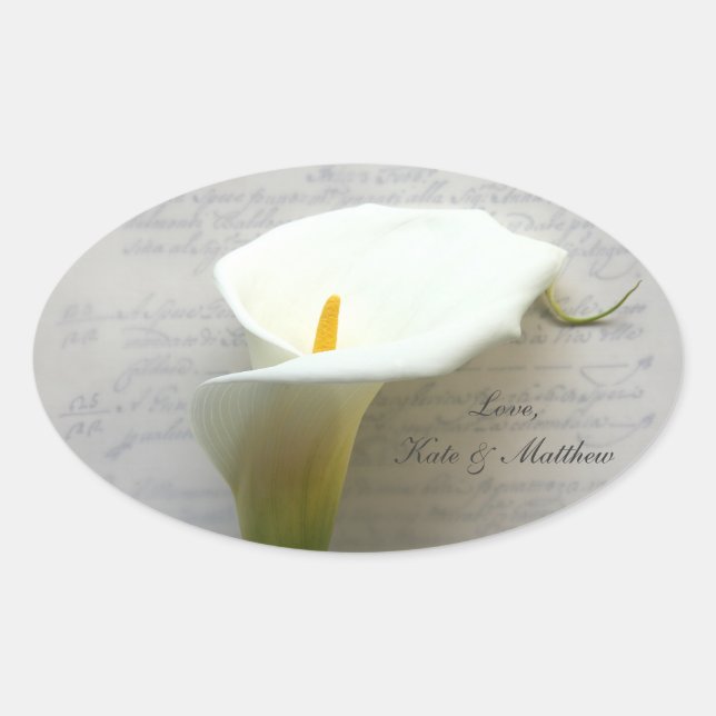 Calla Lilie auf alter Handschrift Ovaler Aufkleber (Vorderseite)