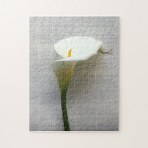 Calla-Lilie auf dem alten Handschreibpuzzle Puzzle