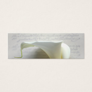 Calla-Lilie auf dem alten Script-Handschrift-Lesez