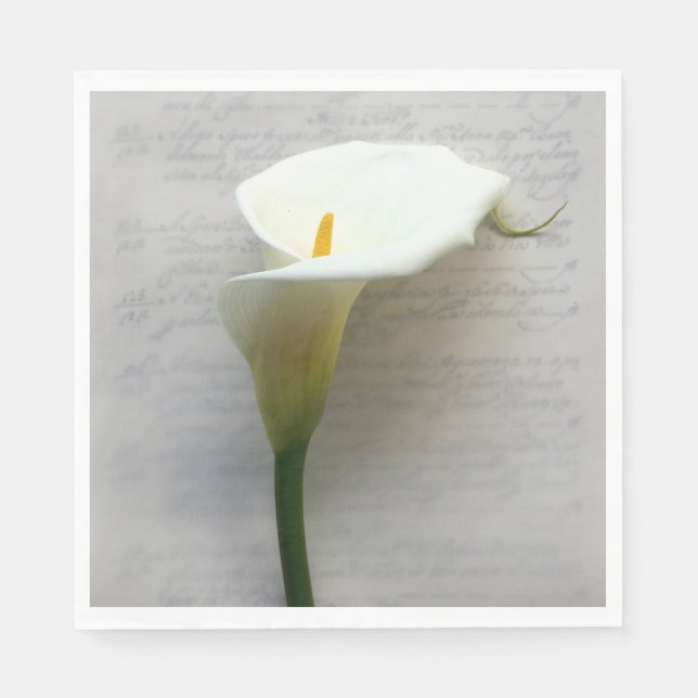 Calla Lilie auf Handschrift Serviette (Vorderseite)