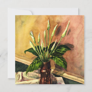 Calla-Lilien