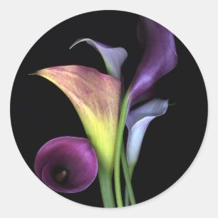 Calla-Lilien-Aufkleber Runder Aufkleber