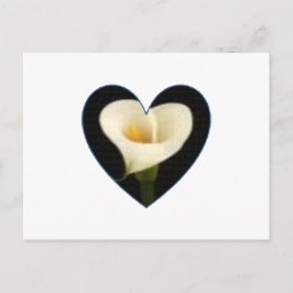 Calla-Lilien-Herz-Postkarte Postkarte