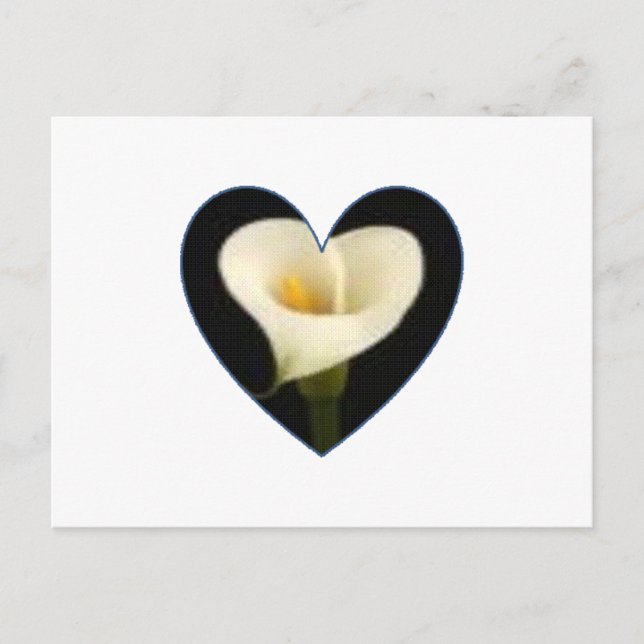 Calla-Lilien-Herz-Postkarte Postkarte (Vorderseite)
