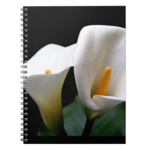 Calla-Lilien-Notizbuch Notizblock