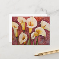Calla-Lilien