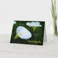Calla-Lilien-Regentropfen-Beileid