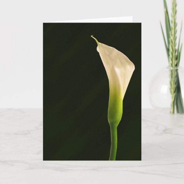 Calla Lilienkarte Karte (Vorderseite)