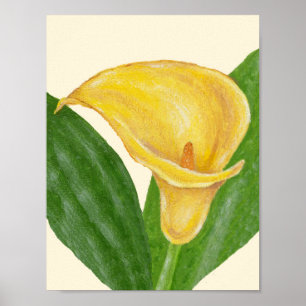 Calla-Lilienkunstdruck Poster
