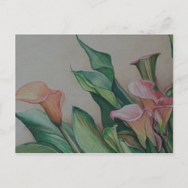 Calla Lilies Art Postcard Postkarte (Vorderseite)