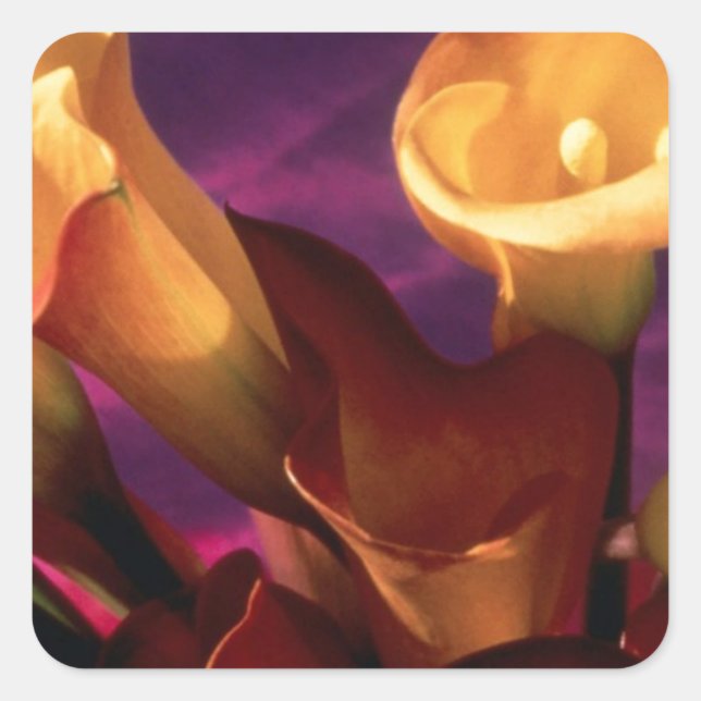 Calla Lilies Collection Quadratischer Aufkleber (Vorderseite)