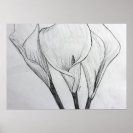 Calla Lilies Pencil Sketch Drawing Art Print Poster