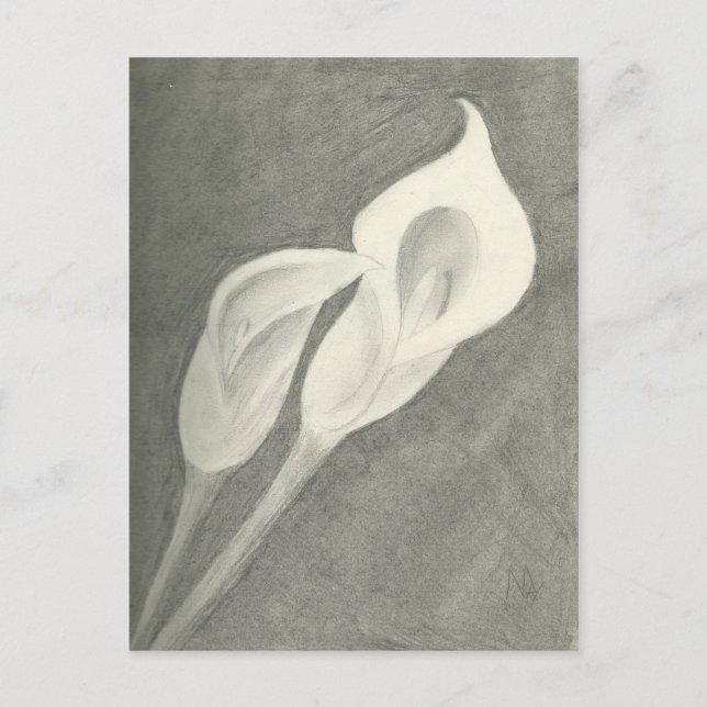 Calla Lilies Postkarte (Vorderseite)