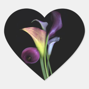 Calla Lilies Stickers