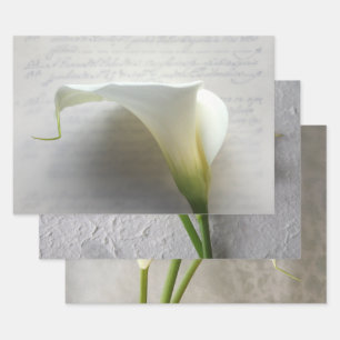 Calla lilies Wrapping Paper Set 3 Geschenkpapier Set