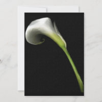 Calla Lilly Einladungen (fügen Sie Ihren eigenen T