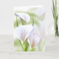 Calla Lilly Karte